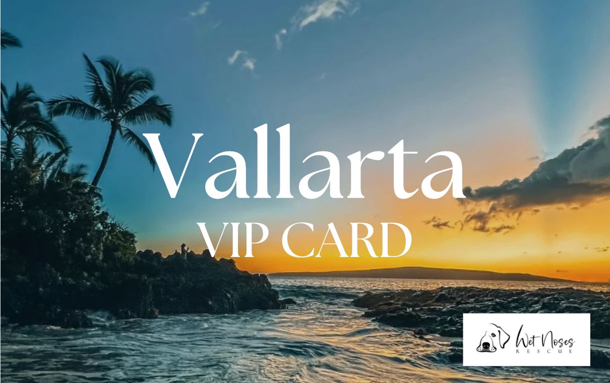 Vallarta VIP Card