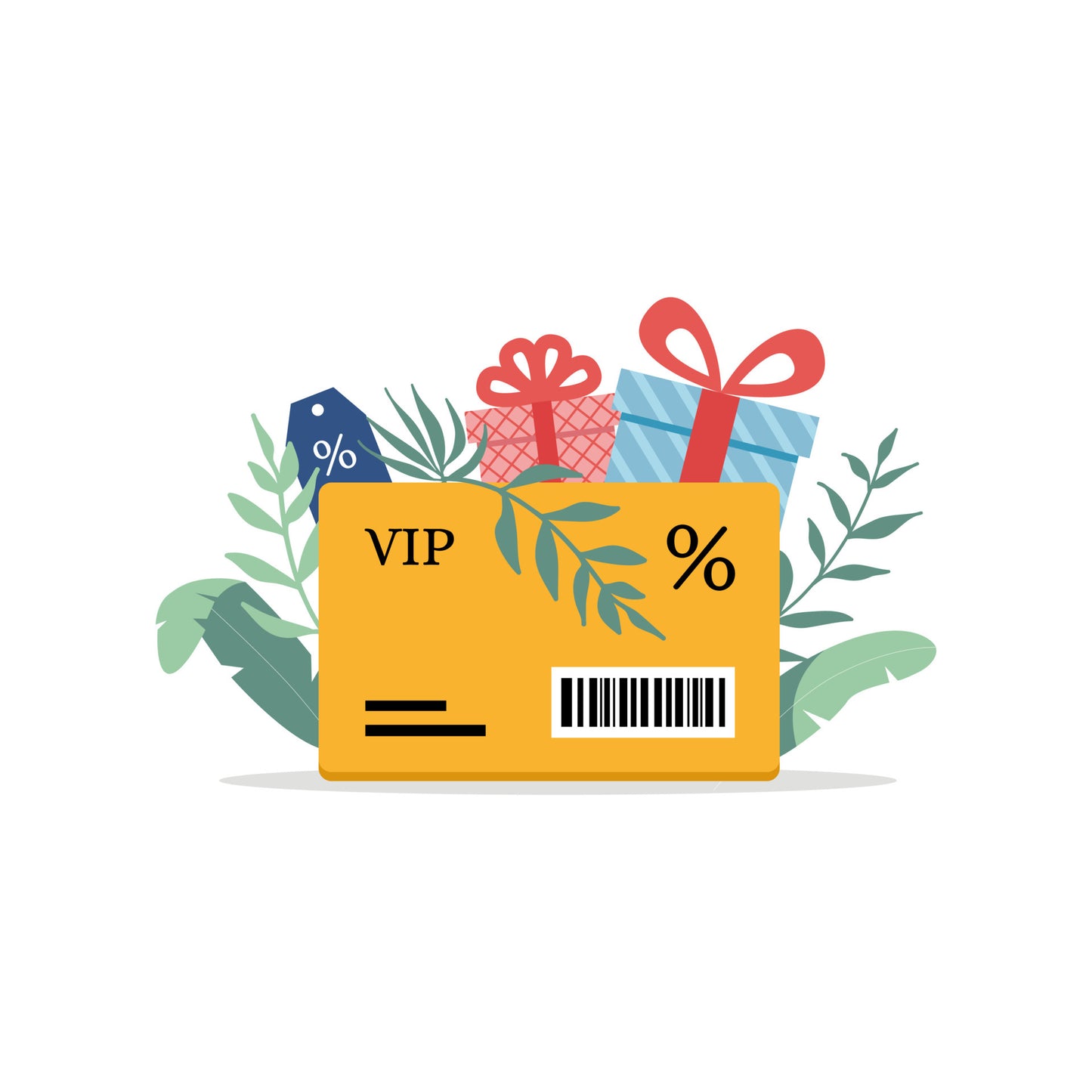 Vallarta VIP Card